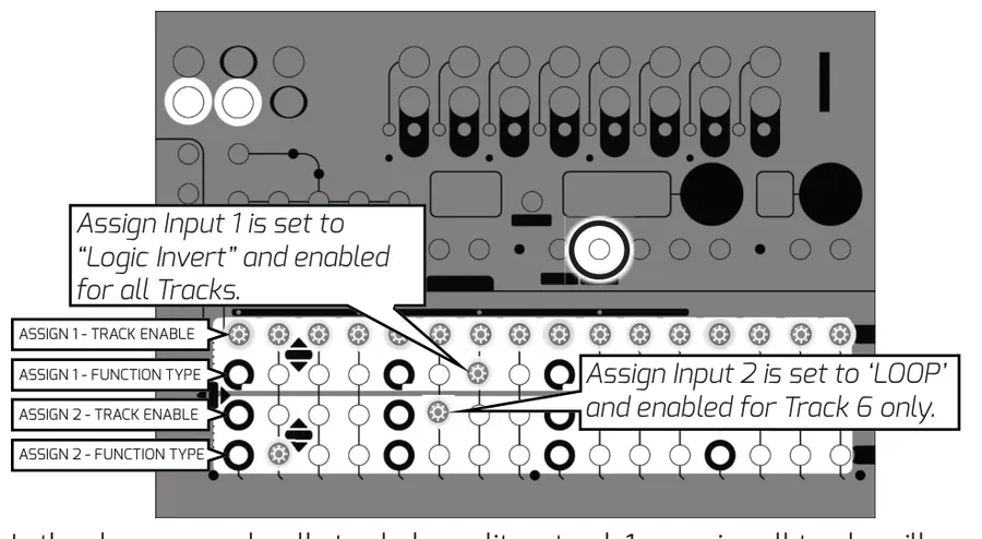 Metron Assignable Inputs setup on the MATRIX. For each of two assignable inputs, one row sets its per-track enable and another sets its function type. In this example, Assign Input 1 is set to 'Logic Invert' and enabled for all tracks, while Assign Input 2 is set to 'Loop' and enabled for track 6 only.